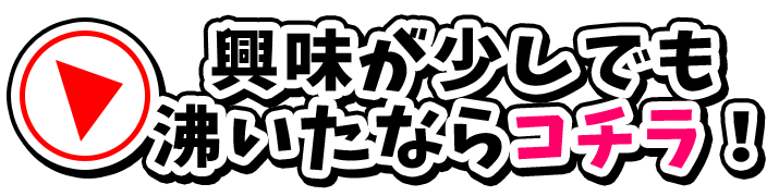 興味が少しでも沸いたならコチラ!